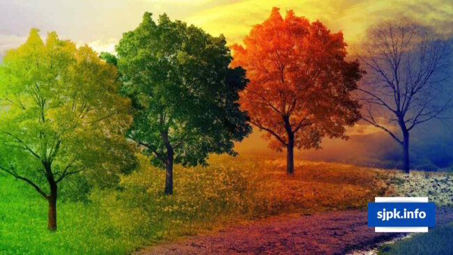 Как говорить о погоде с поляками в Польше - Школа Анны Крижановской